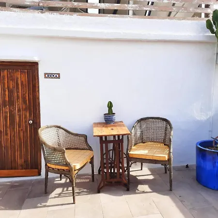 The Roof Apartment