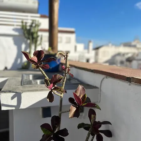 The Roof